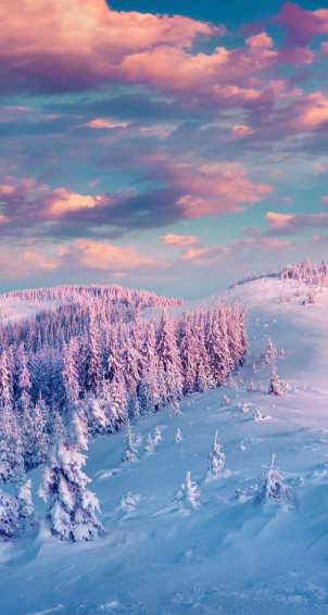 Winter iPhone Wallpaper Cute Background