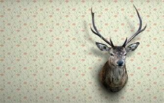 Deer Head Wallpaper