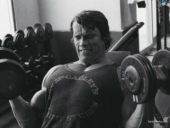 Arnold Schwarzenegger Wallpaper