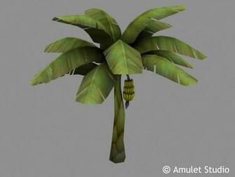 Art Objects Flowers Plants Banana Tree C Amulet Studio Add A Comment