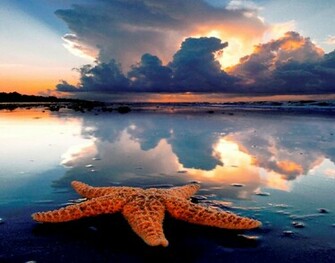 Peace Serene Sea Wallpaper