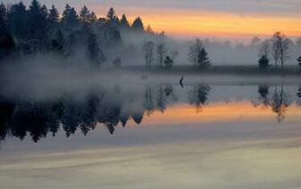 Smooth Surface Lake Sunrise Trees Fog Sky Shore Reflection Wallpaper