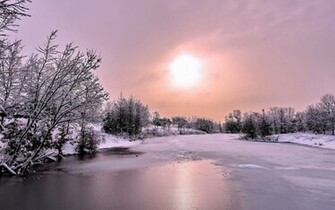 Snow Forest Frozen River HD Wallpaper