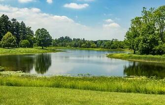 Wallpaper Greens Summer Grass The Sun Trees Pond Park Usa