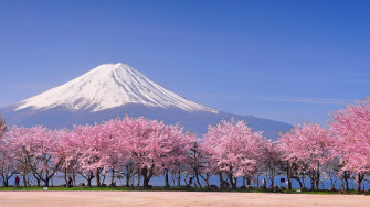 Cherry Blossom Japan Nature Snowy Peak Mountains Sky Lake Wallpaper