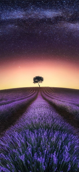Summer Solstice iPhone Wallpaper