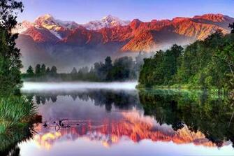 South Island Nouvelle Brouillard De La For T Paysage