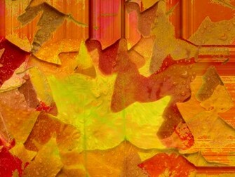 Fall Leaves Desktop Wallpaper HD Background
