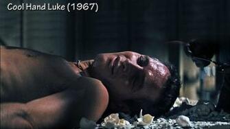Best Cool Hand Luke Wallpaper