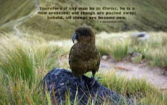 Bible Nature Desktop Background Powerful And Uplifting From
