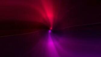 HD Red Purple Wallpaper Rose