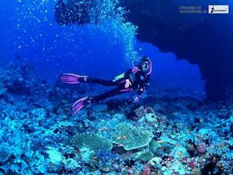 HD Wallpaper Funny Scuba Diving X Kb Jpeg