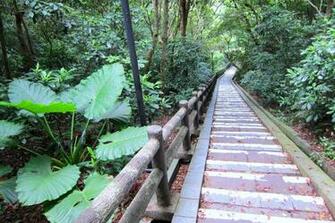 Hiking Trails Wallpaper