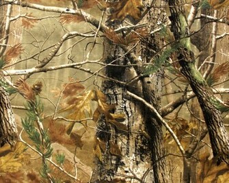 Camo11