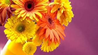 Jaspreet Rekhi Colorful Flowers Wallpaper Full HD 1080p Rar
