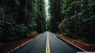 Beautiful Road 4k HD Desktop Wallpaper For Ultra Tv