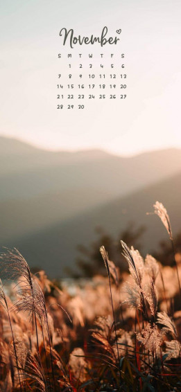 November Calendar Aesthetic Wallpaper Printables