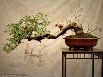 Wallpaper Bonsai Japan Tree Flowers Desktop