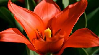 Best Desktop Wallpaper Sites High Definition