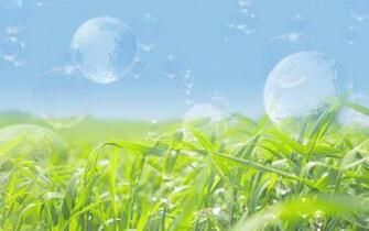 High Definition Summer Sunshine Desktop Background Wide
