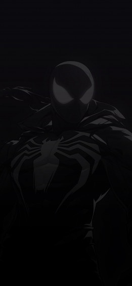Cool Black Spiderman Wallpaper