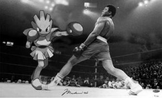 Best Hitmonchan Wallpaper