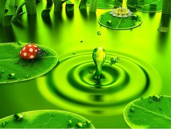 3d Funny Lady Bug Wallpaper Pin It