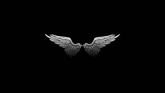 Wings Wallpaper