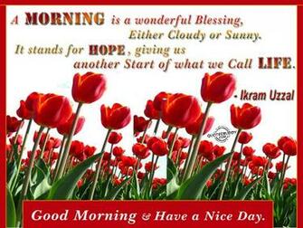 Good Morning Blessing Quotes HD Wallpaper