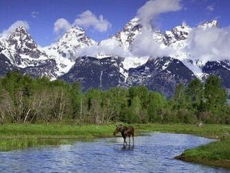 Grand Teton Image Landscapes Wallpaper