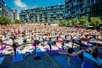 The Yogi World Kokosyoga
