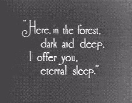 Photography Quote Black And White Text Photo
