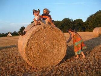 Hay Bales Wallpaper