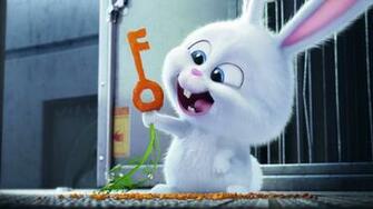 The Secret Life Of Pets Bunny Wallpaper HD