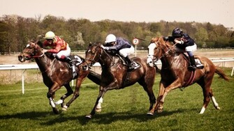 Horse Race HD Wallpaper