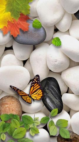 Zen Stones Stone Wallpaper Pretty iPhone