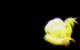 Ninetales Pok Mon HD Wallpaper Background