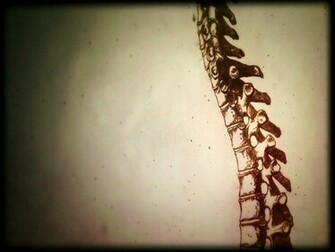 Dr House Anatomy Spine Drawings Wallpaper