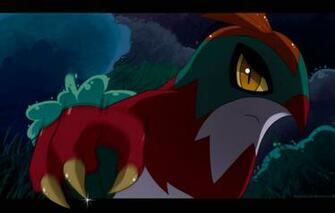 Hawlucha Wallpaper