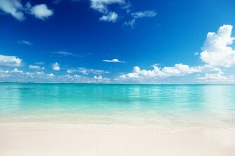 White Sand Beach Wall Mural Eazywallz