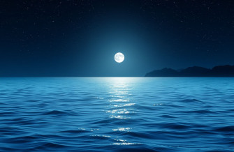 Night Ocean Wallpaper