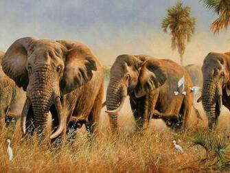 Elephant Wallpaper Pictures