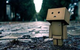 Danbo Wallpaper