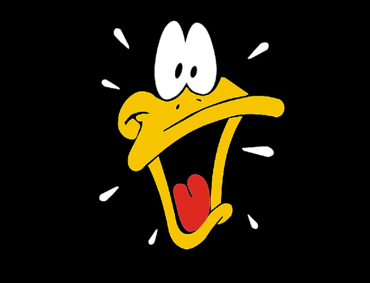 Looney Tunes Daffy Duck Character Wallpaper