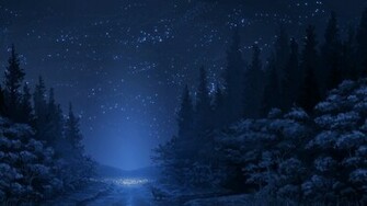 Forest Night HD Wallpaper FullHDwpp Full