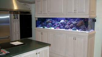 Wallpaper Sea Aquarium In Home HD 1080p Upload At January