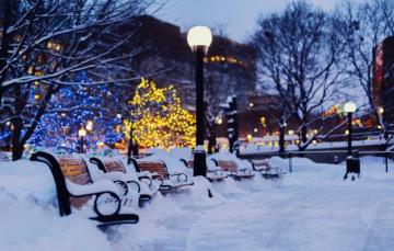Wallpaper Winter Light Snow Trees The City Lights