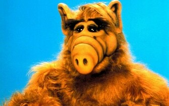 Alf Serial Wallpaper