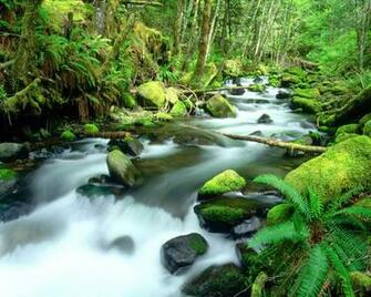River In Spring Nature Wallpaper Resolution