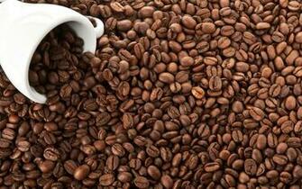 Coffee Cup HD Wallpaper Beans Desktop